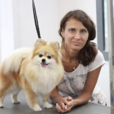 Dog is Dog